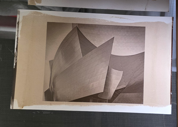 Platinum-Paladium prints